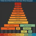 Family tree of South Africa’s nine major African languages