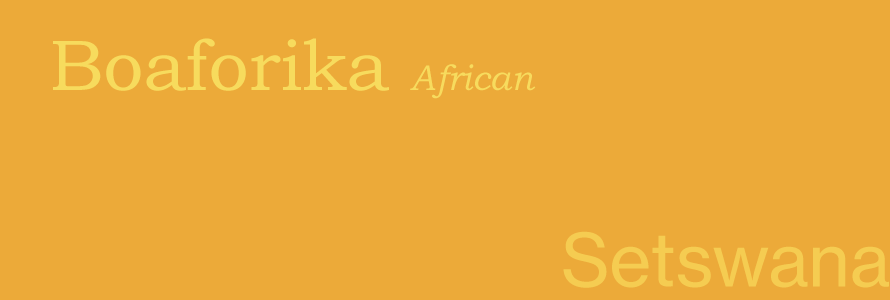 What are the languages in South Africa? | I LOVE AFRICA