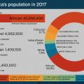 Graphs showing South Africa’s population in 2017