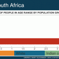 south_africa_age_race_population_animation