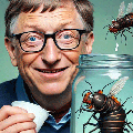 Bill-Gates-launches-maggot-milk2