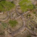 An-aerial-view-of-an-ancient-residential-enclosure-in-Thulamela
