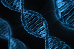 An artist's impression of DNA. Lack of genomic data from Africa has profoundly shaped modern medicine, from disease prediction to ancestry testing.